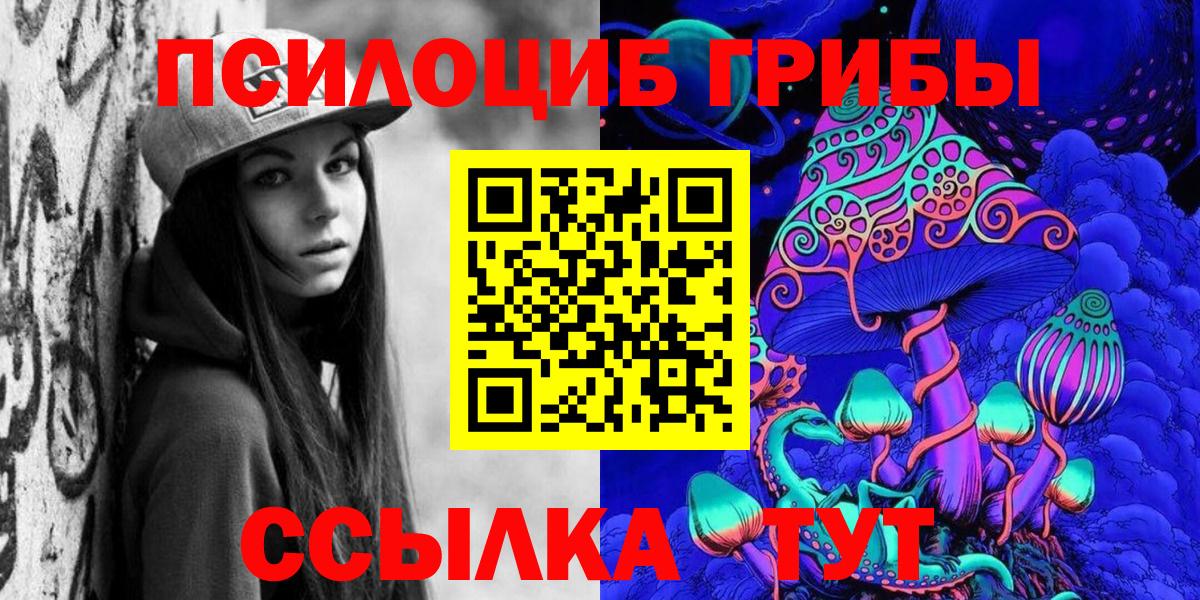 Богородск  магазин    Вход с VPN  Псилоцибиновые грибы Magic Shrooms 